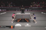 樊振东同款庆祝！王楚钦4-0横扫张本智和，张开双臂庆祝胜利！